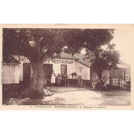 Rare collectable postcards of ALGERIA. Vintage Postcards of ALGERIA