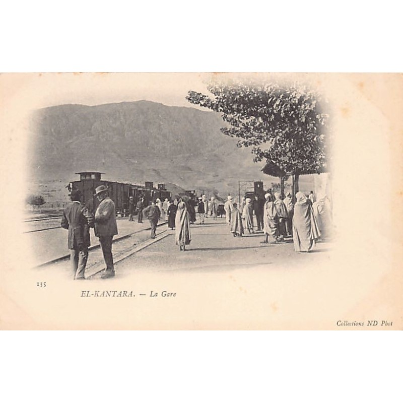 Rare collectable postcards of ALGERIA. Vintage Postcards of ALGERIA