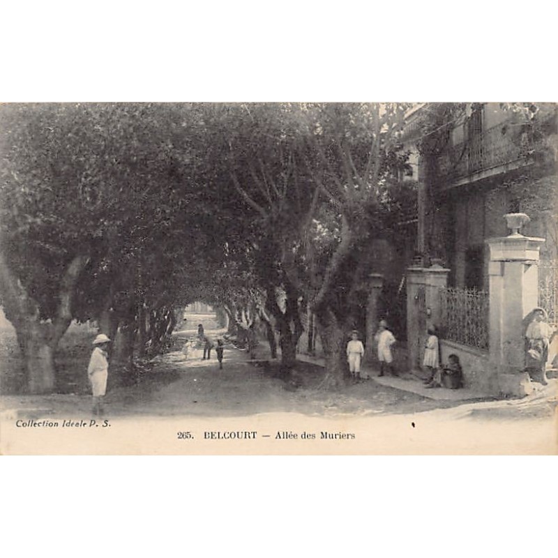Rare collectable postcards of ALGERIA. Vintage Postcards of ALGERIA