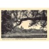 Rare collectable postcards of CAMBODIA. Vintage Postcards of CAMBODIA