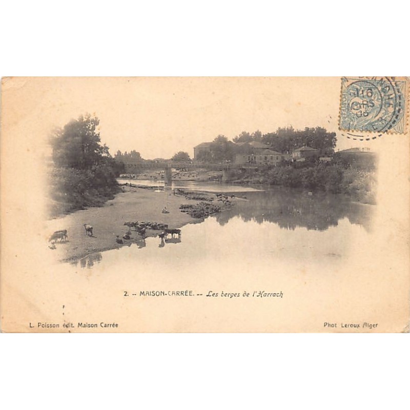 Rare collectable postcards of ALGERIA. Vintage Postcards of ALGERIA