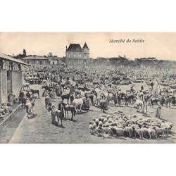 Rare collectable postcards of ALGERIA. Vintage Postcards of ALGERIA