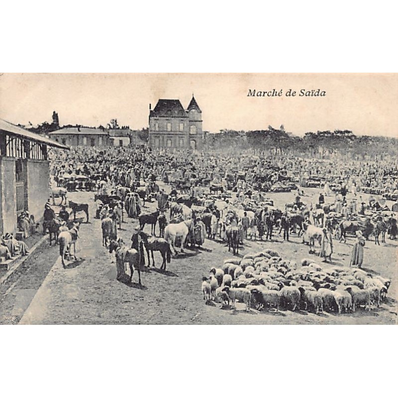 Rare collectable postcards of ALGERIA. Vintage Postcards of ALGERIA