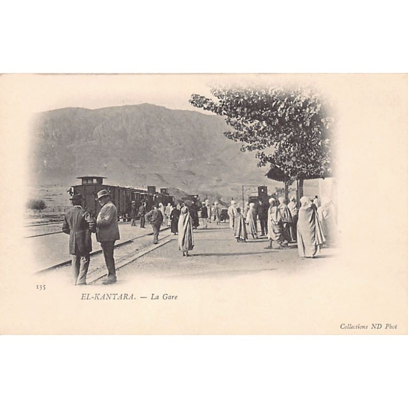 Rare collectable postcards of ALGERIA. Vintage Postcards of ALGERIA