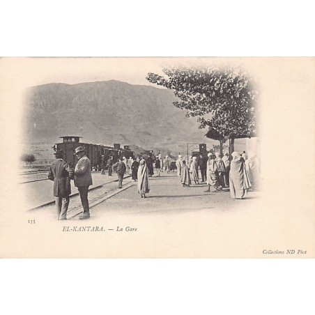 Rare collectable postcards of ALGERIA. Vintage Postcards of ALGERIA