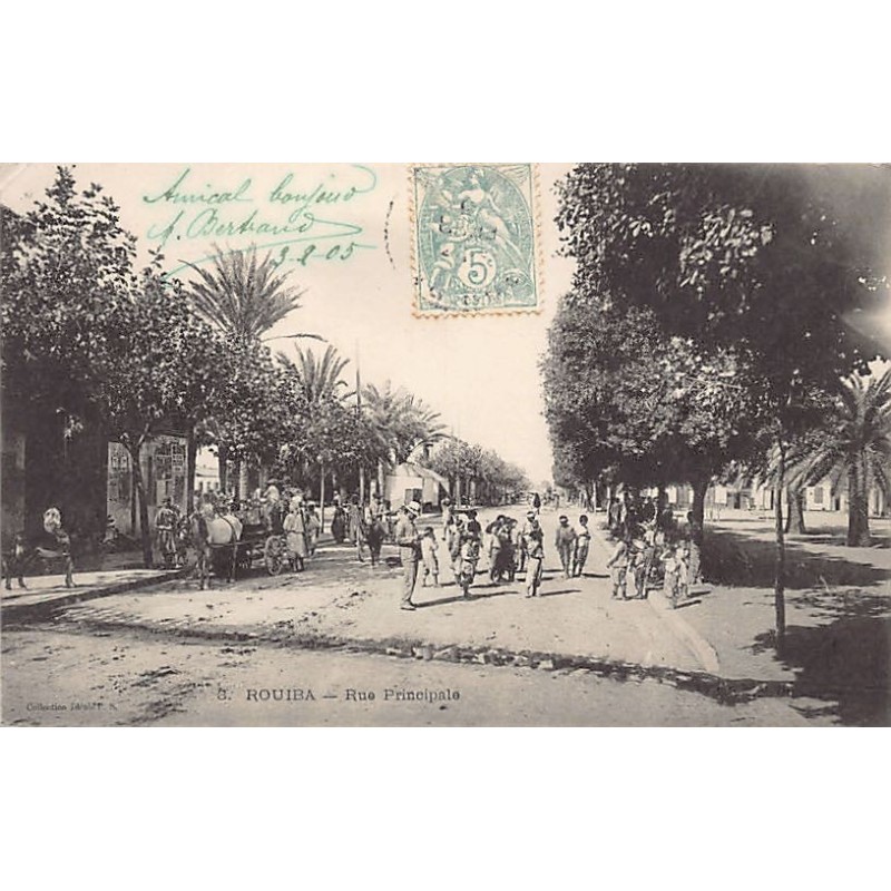 Rare collectable postcards of ALGERIA. Vintage Postcards of ALGERIA