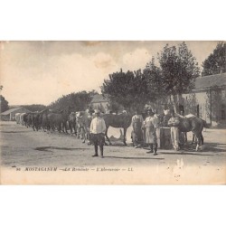 Rare collectable postcards of ALGERIA. Vintage Postcards of ALGERIA