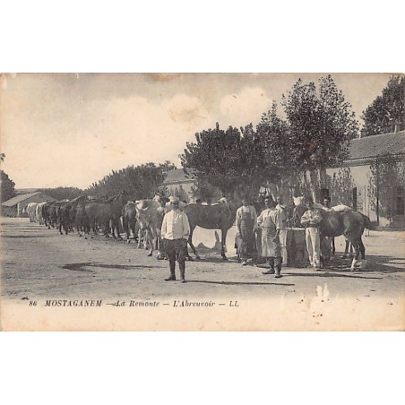 Rare collectable postcards of ALGERIA. Vintage Postcards of ALGERIA
