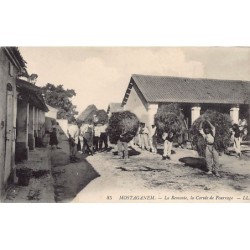 Rare collectable postcards of ALGERIA. Vintage Postcards of ALGERIA