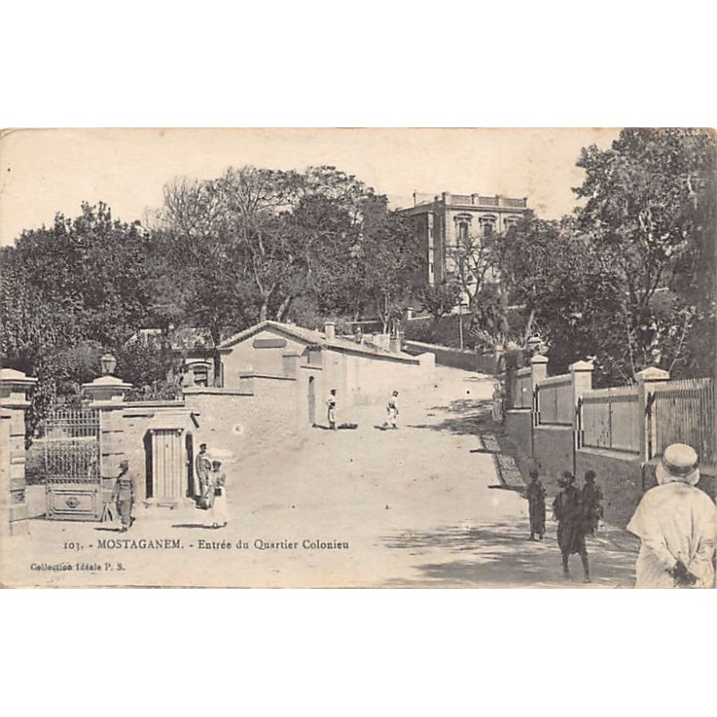 Rare collectable postcards of ALGERIA. Vintage Postcards of ALGERIA