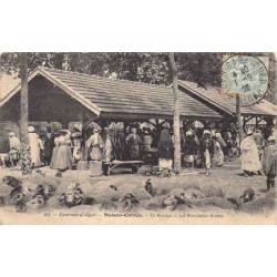 Rare collectable postcards of ALGERIA. Vintage Postcards of ALGERIA