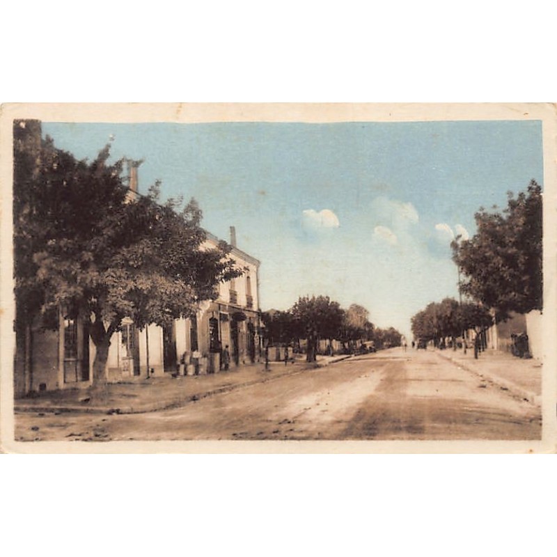 Rare collectable postcards of ALGERIA. Vintage Postcards of ALGERIA