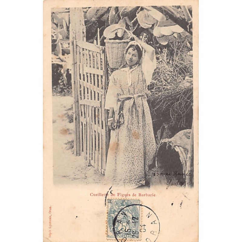 Rare collectable postcards of ALGERIA. Vintage Postcards of ALGERIA