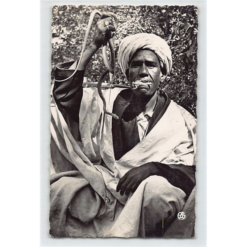 Rare collectable postcards of ALGERIA. Vintage Postcards of ALGERIA