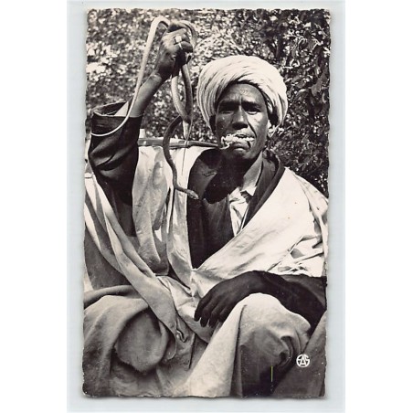 Rare collectable postcards of ALGERIA. Vintage Postcards of ALGERIA