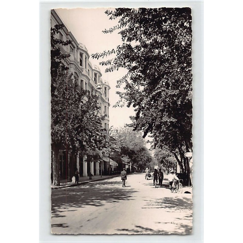 Rare collectable postcards of ALGERIA. Vintage Postcards of ALGERIA