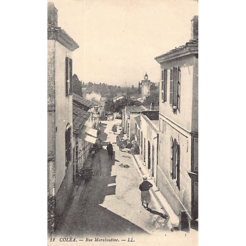 Rare collectable postcards of ALGERIA. Vintage Postcards of ALGERIA