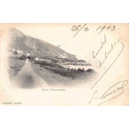 Rare collectable postcards of ALGERIA. Vintage Postcards of ALGERIA