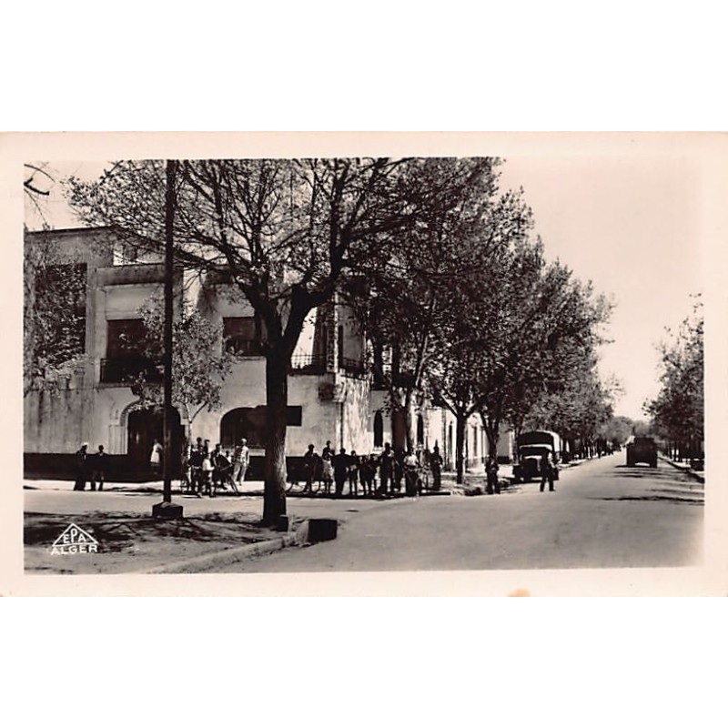 Rare collectable postcards of ALGERIA. Vintage Postcards of ALGERIA