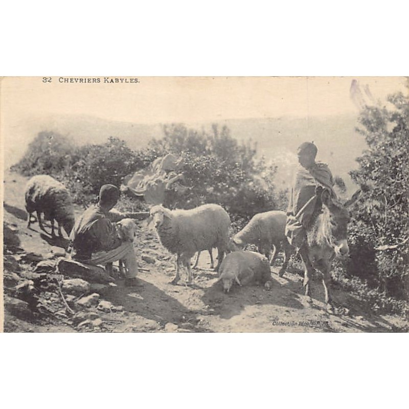 Rare collectable postcards of ALGERIA. Vintage Postcards of ALGERIA