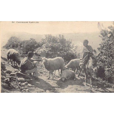 Rare collectable postcards of ALGERIA. Vintage Postcards of ALGERIA