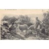 Rare collectable postcards of ALGERIA. Vintage Postcards of ALGERIA