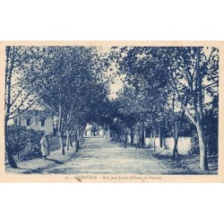 Rare collectable postcards of ALGERIA. Vintage Postcards of ALGERIA