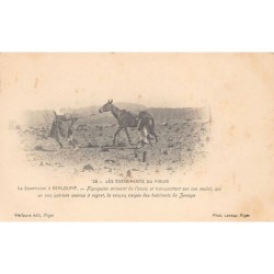 Rare collectable postcards of ALGERIA. Vintage Postcards of ALGERIA