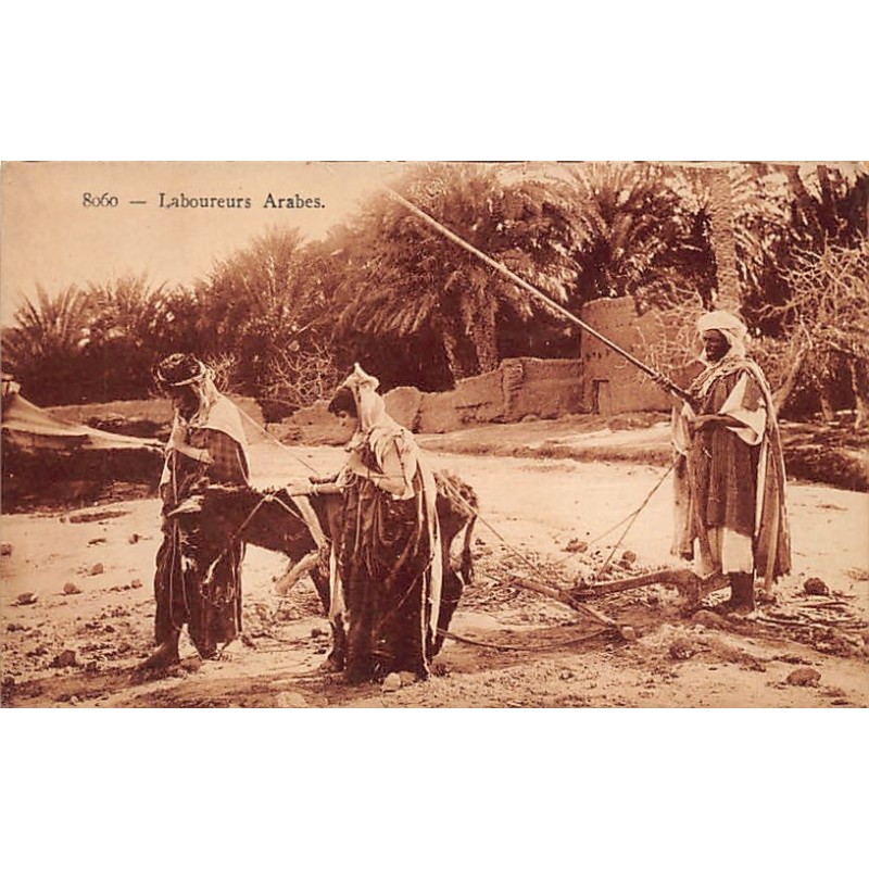 Rare collectable postcards of ALGERIA. Vintage Postcards of ALGERIA