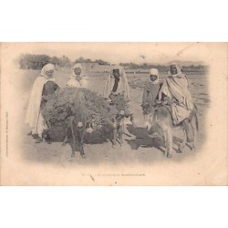 Rare collectable postcards of ALGERIA. Vintage Postcards of ALGERIA