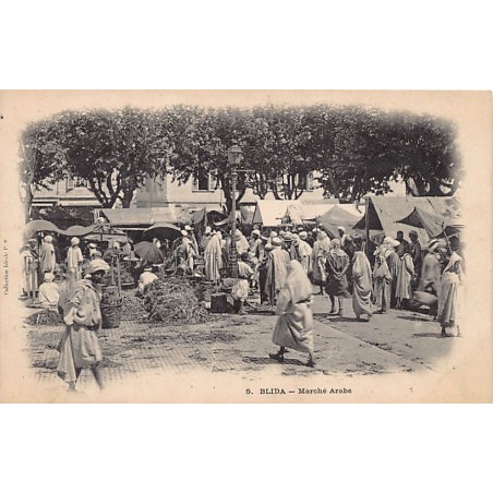 Rare collectable postcards of ALGERIA. Vintage Postcards of ALGERIA