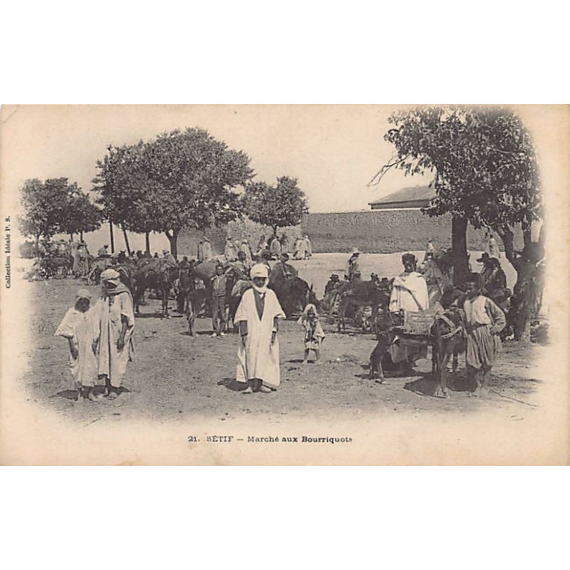 Rare collectable postcards of ALGERIA. Vintage Postcards of ALGERIA