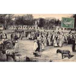 Rare collectable postcards of ALGERIA. Vintage Postcards of ALGERIA