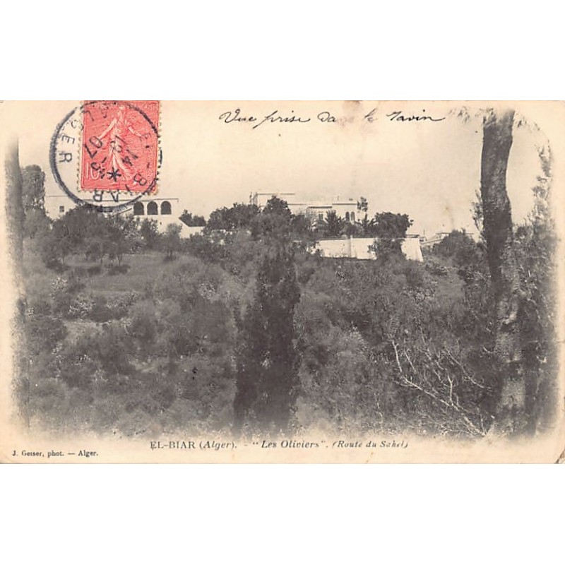 Rare collectable postcards of ALGERIA. Vintage Postcards of ALGERIA
