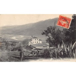 Rare collectable postcards of ALGERIA. Vintage Postcards of ALGERIA