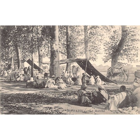 Rare collectable postcards of ALGERIA. Vintage Postcards of ALGERIA