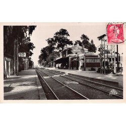 Rare collectable postcards of ALGERIA. Vintage Postcards of ALGERIA