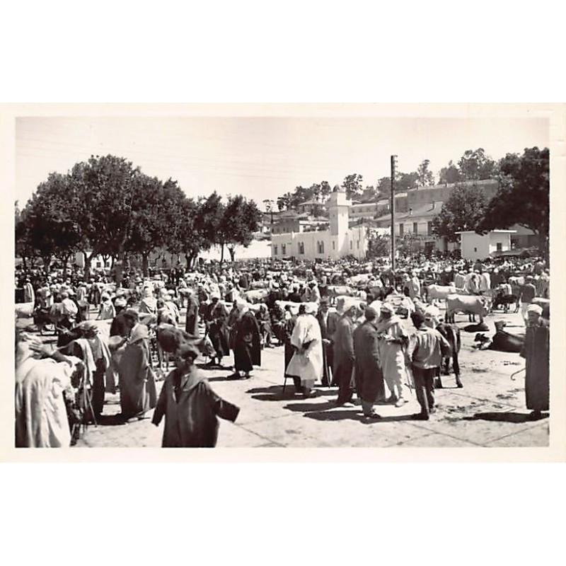Rare collectable postcards of ALGERIA. Vintage Postcards of ALGERIA