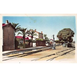 Rare collectable postcards of ALGERIA. Vintage Postcards of ALGERIA