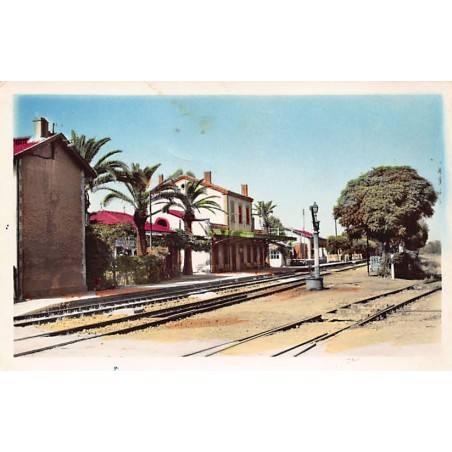 Rare collectable postcards of ALGERIA. Vintage Postcards of ALGERIA