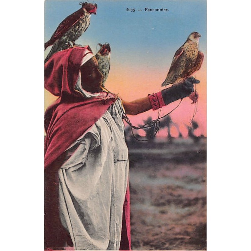 Rare collectable postcards of ALGERIA. Vintage Postcards of ALGERIA