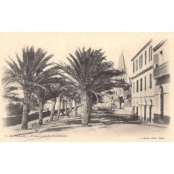 Rare collectable postcards of ALGERIA. Vintage Postcards of ALGERIA
