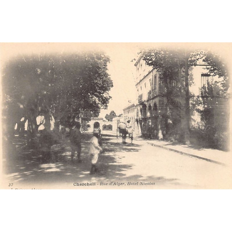 Rare collectable postcards of ALGERIA. Vintage Postcards of ALGERIA