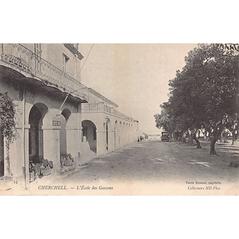 Rare collectable postcards of ALGERIA. Vintage Postcards of ALGERIA