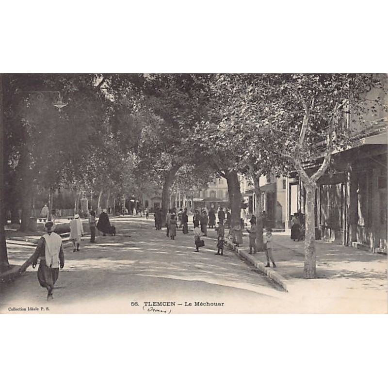 Rare collectable postcards of ALGERIA. Vintage Postcards of ALGERIA