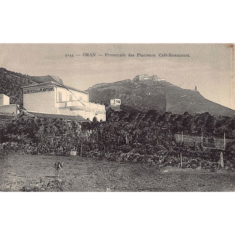 Rare collectable postcards of ALGERIA. Vintage Postcards of ALGERIA