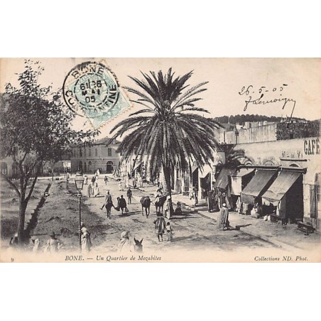Rare collectable postcards of ALGERIA. Vintage Postcards of ALGERIA