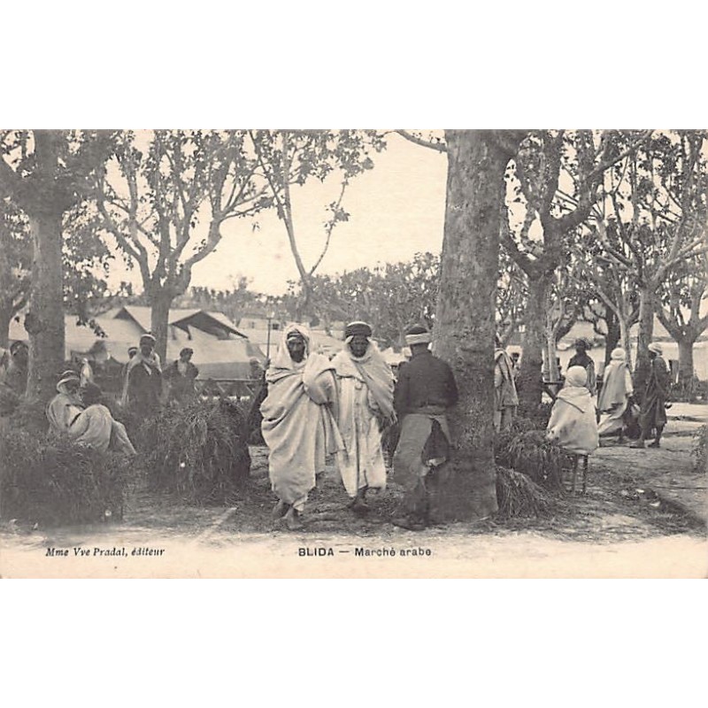 Rare collectable postcards of ALGERIA. Vintage Postcards of ALGERIA