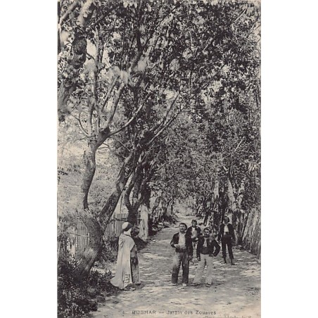 Rare collectable postcards of ALGERIA. Vintage Postcards of ALGERIA