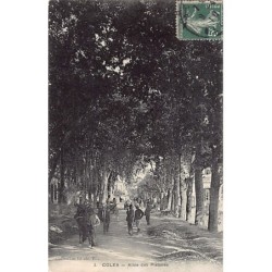 Rare collectable postcards of ALGERIA. Vintage Postcards of ALGERIA